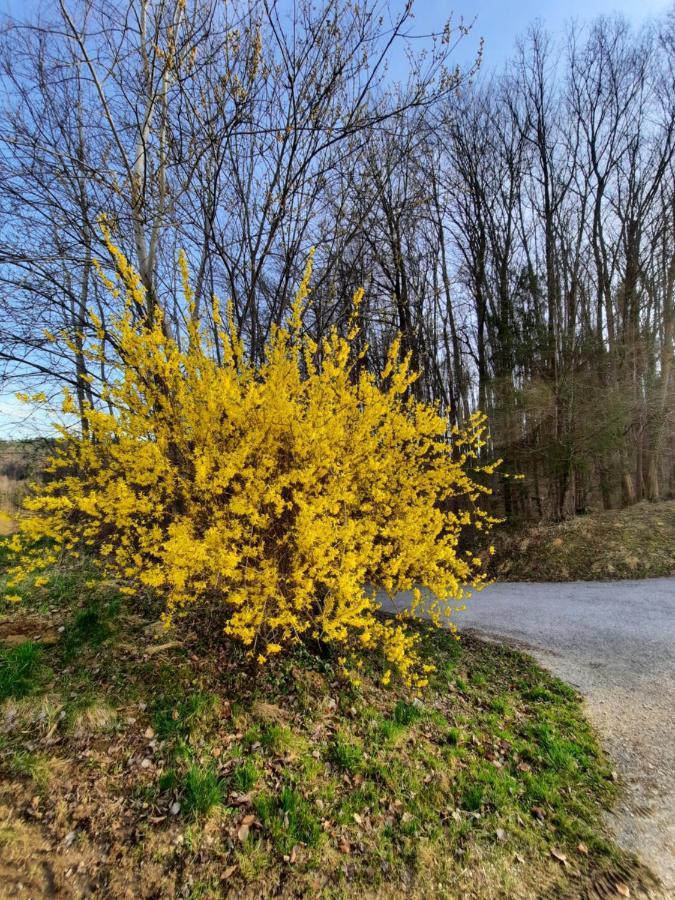 Holiday Home Neokrnjena Narava Sevnica Luaran gambar