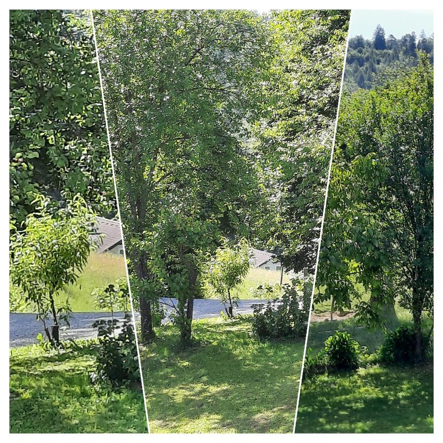 Holiday Home Neokrnjena Narava Sevnica Luaran gambar
