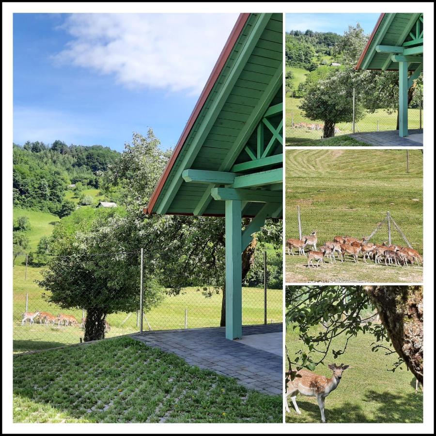 Holiday Home Neokrnjena Narava Sevnica Luaran gambar